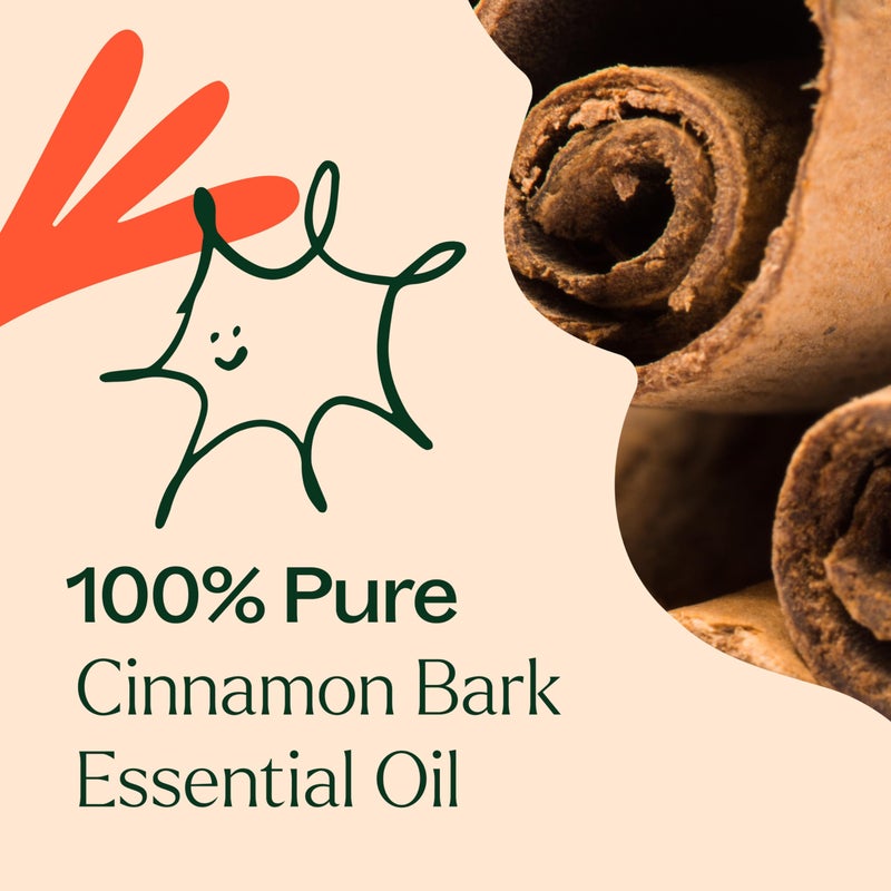 Plant Therapy Cinnamon Bark Essential Oil 30 mL (1 oz) 100% Pure, Undiluted, Therapeutic Grade - Image 5